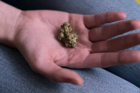 Why Cannabis Use Doubles the Risk of Heart-Related Deaths