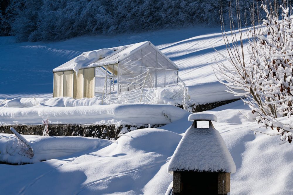 Winter Power Outage: 5 Essential Things You Should Do to Survive